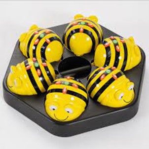 Sada BeeBot